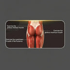 Entraîneur musculaire PC, pince de jambe pour homme et femme, outil d'exercice, Kegel intérieur des jambes, dispositif d'assistance musculaire du plancher pelvien My.Magzi